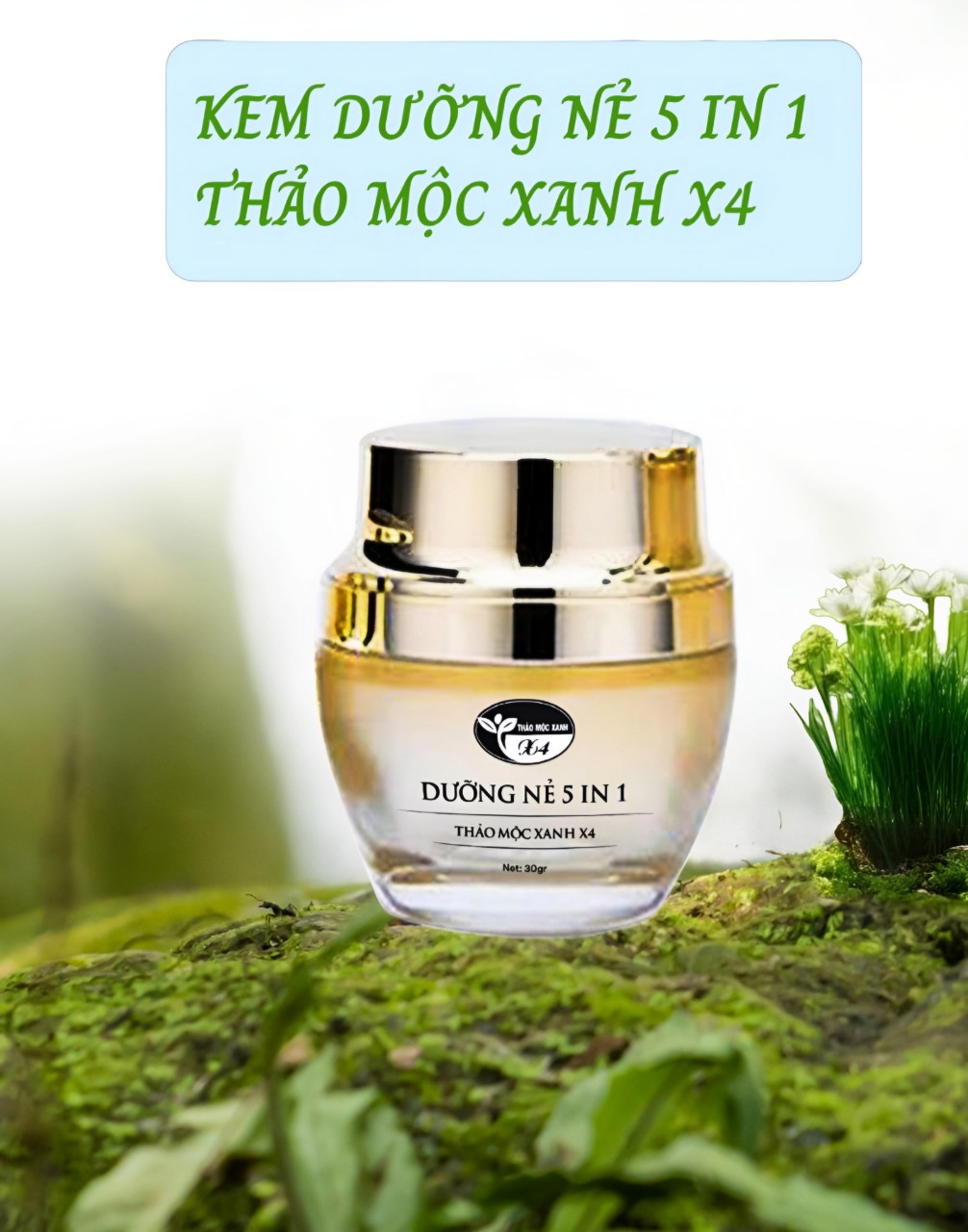 Dưỡng Nẻ 5 In Thảo Mộc Xanh X4 - Ảnh 4