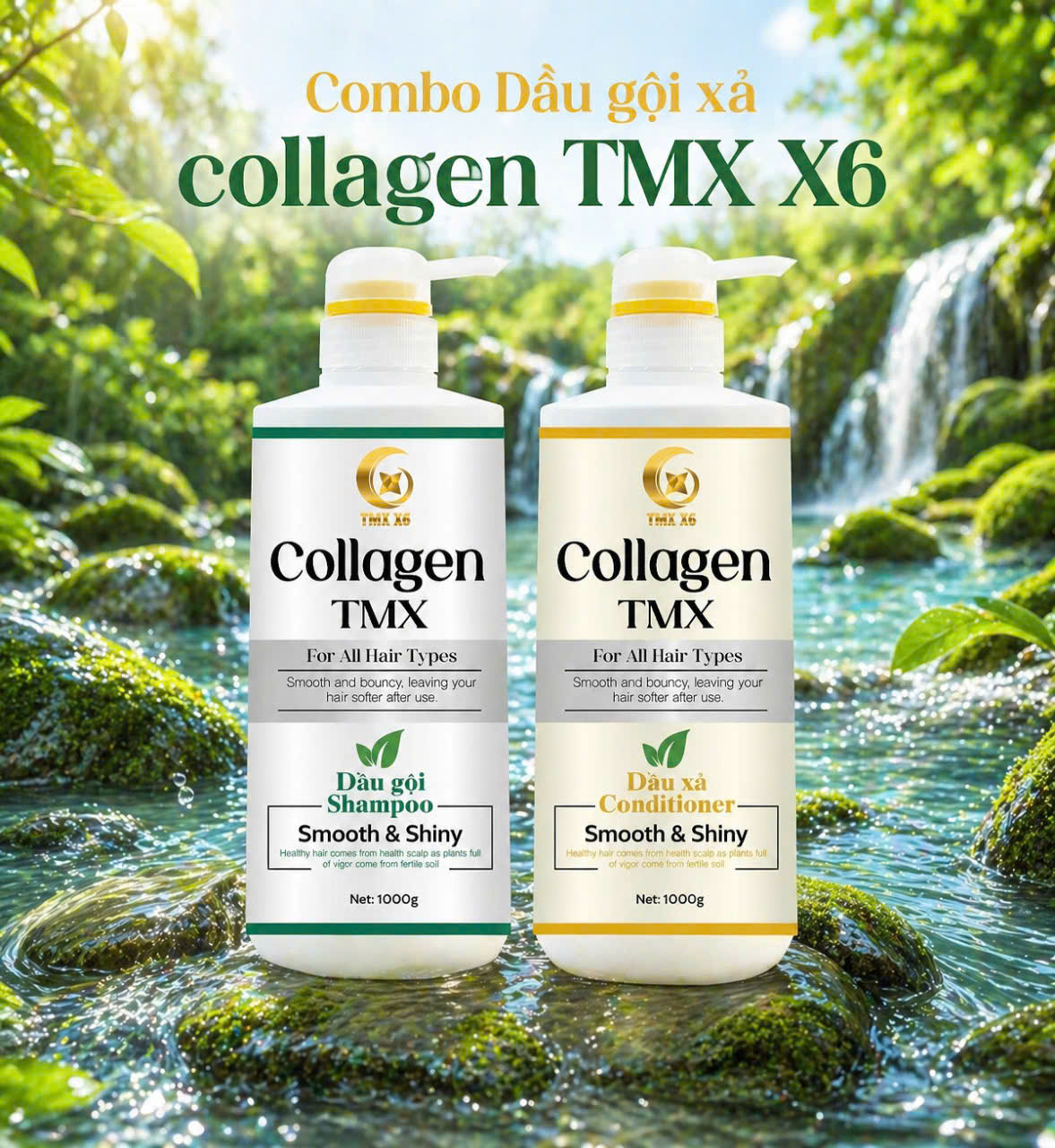 combo gội xả collagen tmx x6